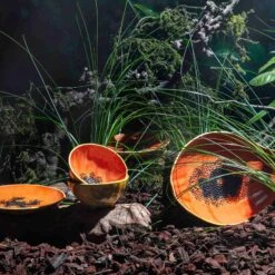 Bordallo Pinheiro Tropical Fruits Papaya Small Bowl, 14x14cm 5 Bordallo Pinheiro Tropical Fruits Papaya Small Bowl, 14x14cm -Deals Kitchen Hub Store DC0207BordalloPinheiroTropicalFruitsServingPlatter PapayaLifestyle