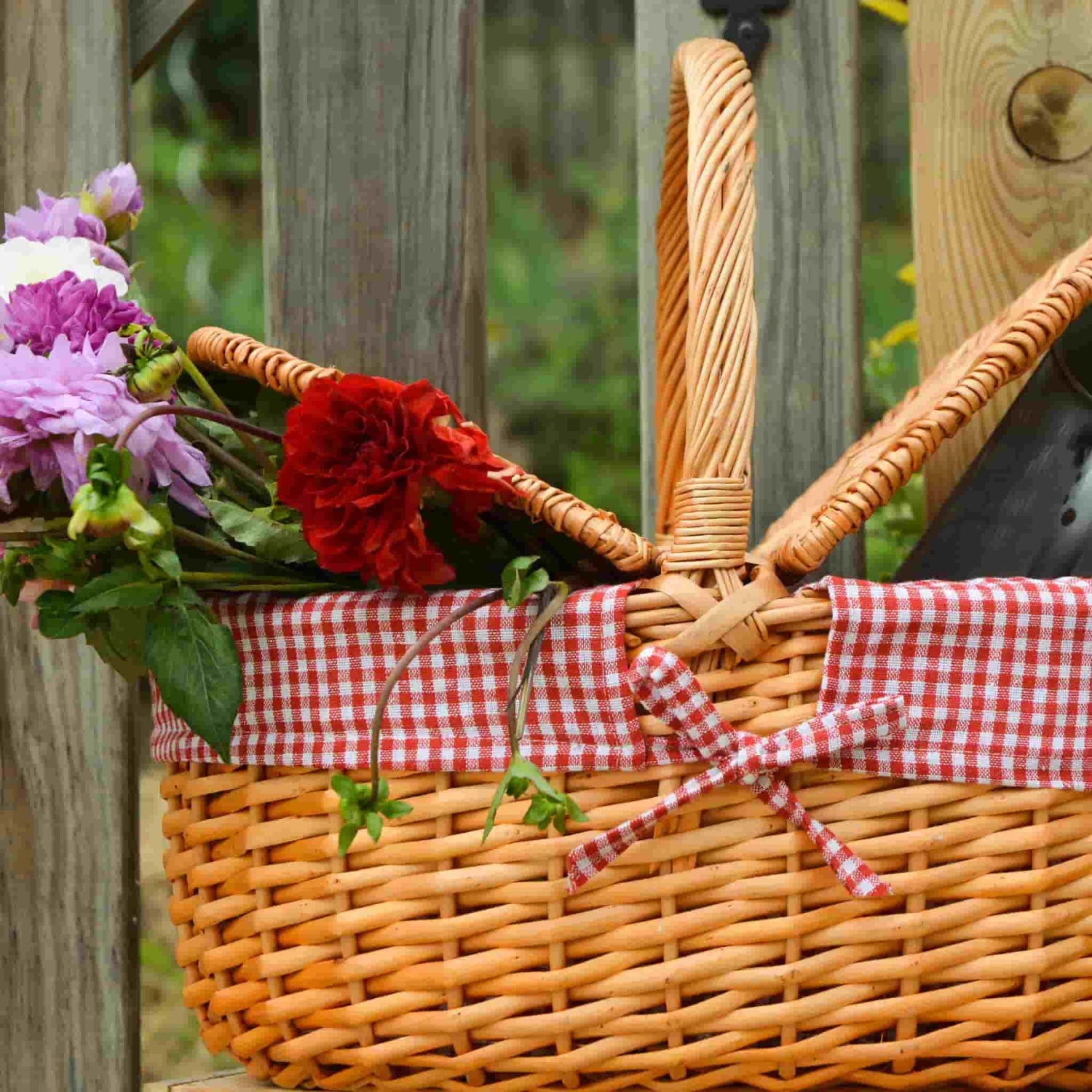 Campagne Red Gingham Empty Picnic Basket 2 Campagne Red Gingham Empty Picnic Basket - Image 2