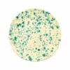 Puglia Aquamarine Splatter Dinner Plate 27cm