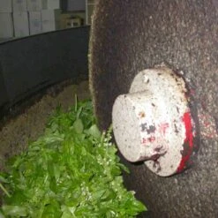 Galantino Puglian Olive Oil With Basil In Terracotta Bottle 250ml -Deals Kitchen Hub Store basil2