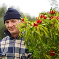 Galantino Puglian Olive Oil With Chilli In Terracotta Bottle 250ml 15 Galantino Puglian Olive Oil With Chilli In Terracotta Bottle 250ml -Deals Kitchen Hub Store chillioliveoil1