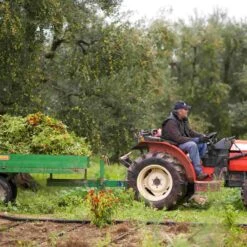 Galantino Puglian Olive Oil With Chilli In Terracotta Bottle 250ml 14 Galantino Puglian Olive Oil With Chilli In Terracotta Bottle 250ml -Deals Kitchen Hub Store chillioliveoil2