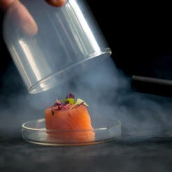 2 X Large Domed Glass Cloche - 11cm Dia 5 2 X Large Domed Glass Cloche - 11cm Dia -Deals Kitchen Hub Store salmon cloche gun 2